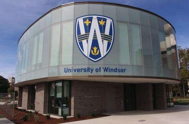 溫莎大學